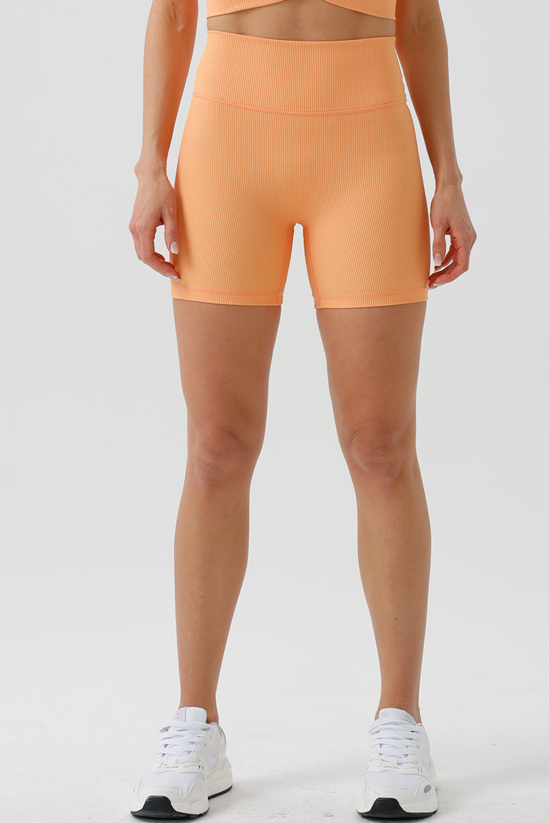 Women Eco Ribbed Quarter High Waisted Hip Lifting Seamless Fitness Classic Sports Yoga Shorts