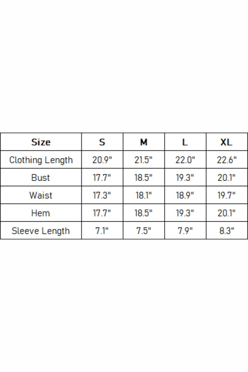 Women's Back Panel Stitched Raglan Sleevee Slim Fit Tee