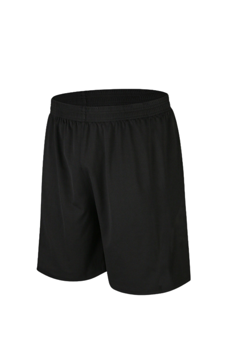 Men's Summer Sports Elastic Waistband Quick Dry Shorts