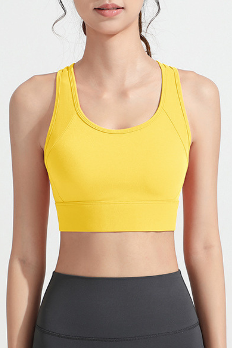 Women's Back Mesh Panel High Support Antibacterial Sport Bra